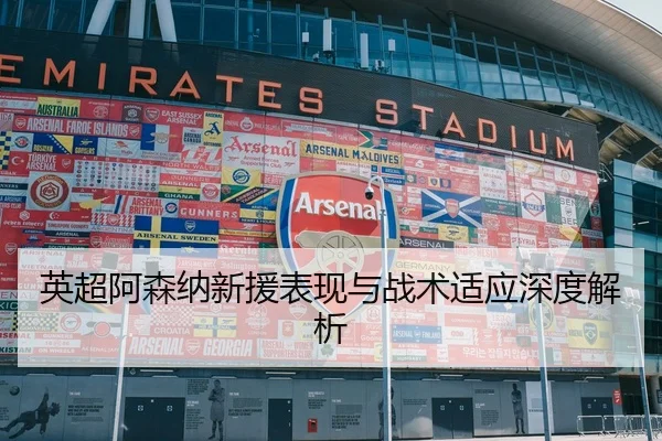 英超阿森纳新援表现与战术适应深度解析